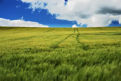 Patrimoine agricole et géographique : les savoirs pour le futur