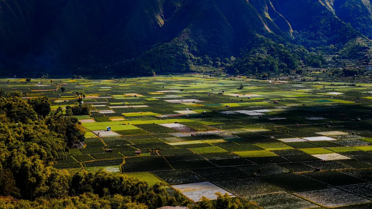 Aerial view of vibrant green farmlands forming a patchwork pattern at the base of lush mountains in natural sunlight.