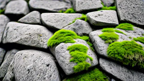 Machu Picchu Guide: 15th Century Inca Engineering Secrets