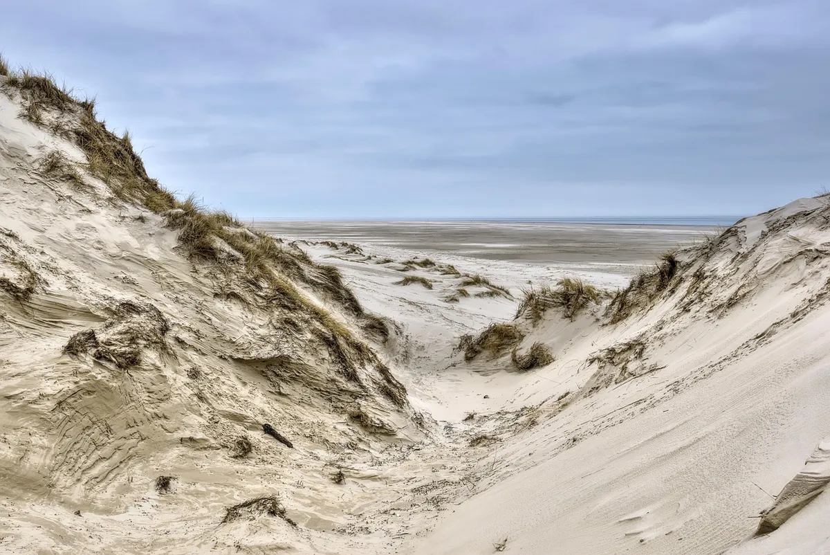 sand dunes, dune landscape, sand, dune grass, formations, wadden sea, watt, natural heritage, coastal protection, north sea, coast, world natural heritage, natu