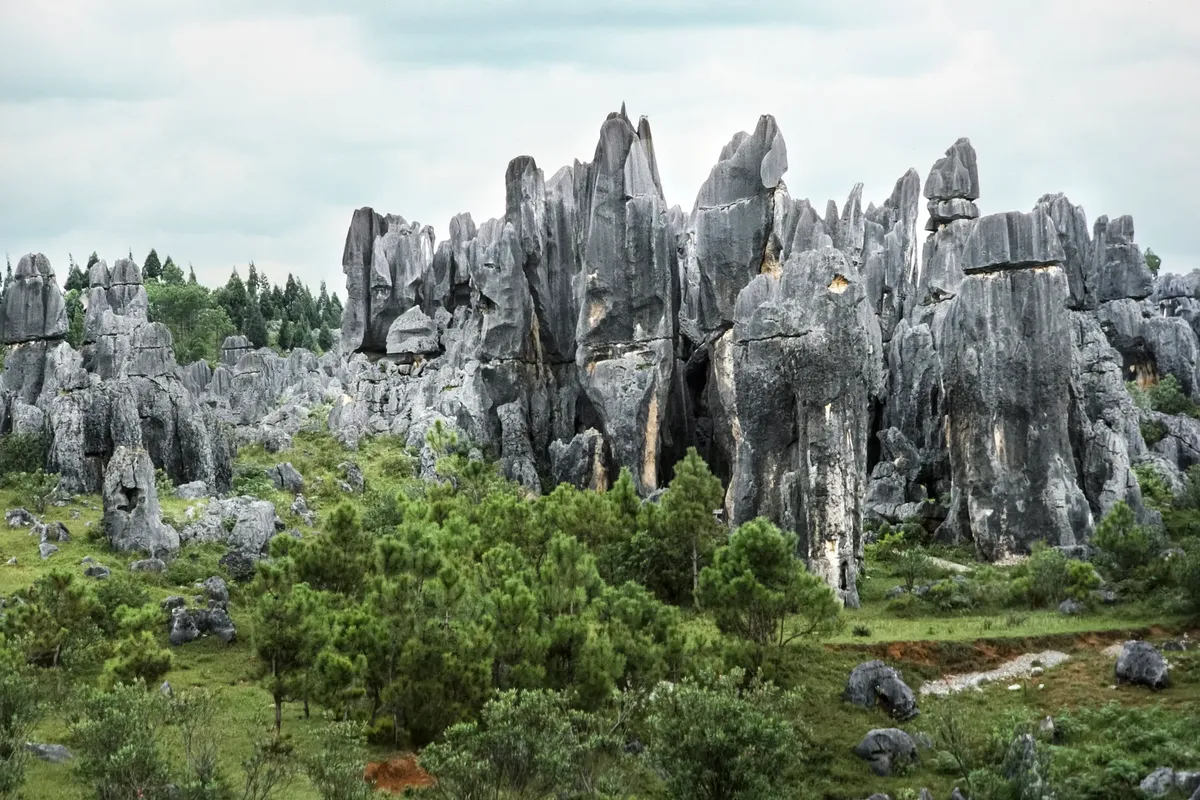 Dramatic karst formations in the Stone Forest, capturing natural beauty.